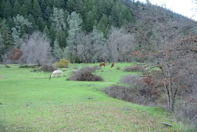 DSC_0940 (Large).JPG